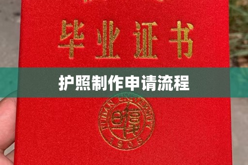 端州护照制作申请流程